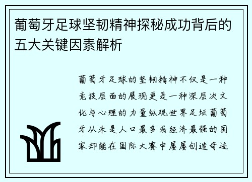 葡萄牙足球坚韧精神探秘成功背后的五大关键因素解析