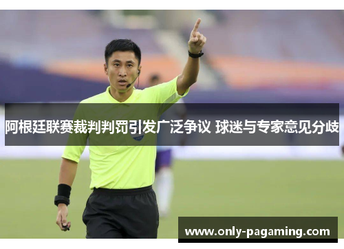 阿根廷联赛裁判判罚引发广泛争议 球迷与专家意见分歧